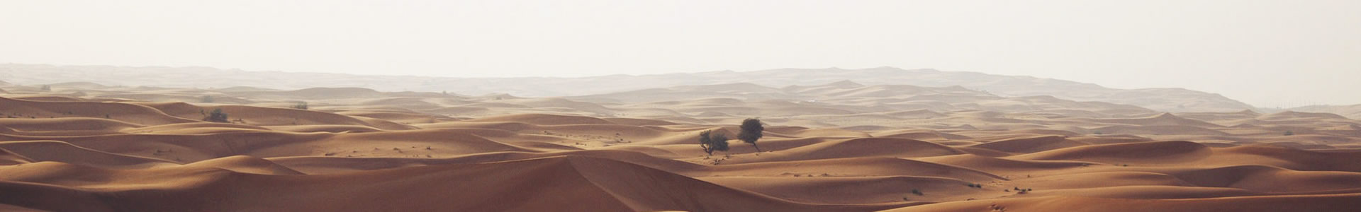 ݵԶƼ޹˾